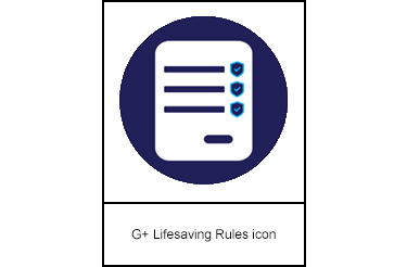 G+ Lifesaving Rules icon